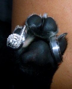 simplifythechaos.com