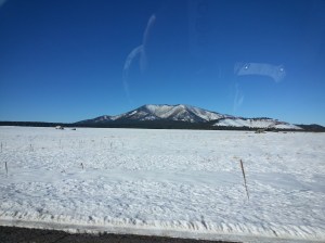 simplifythechaos.com