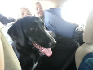 simplifythechaos.com