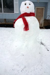 simplifythechaos.com