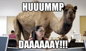 Hump Day