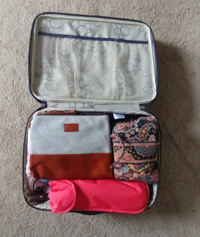 Mom + baby carry on items